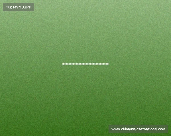 女排世界锦标赛激战正酣中国女排奋勇拼搏争创佳绩赛场风云变幻精彩无限